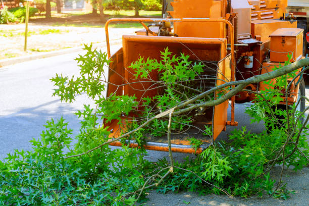 Best Aeration Services  in Carrollton, TX